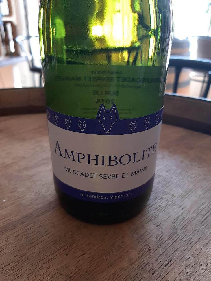 Amphibolite - Domaine Jo Landron - Jo Landron 