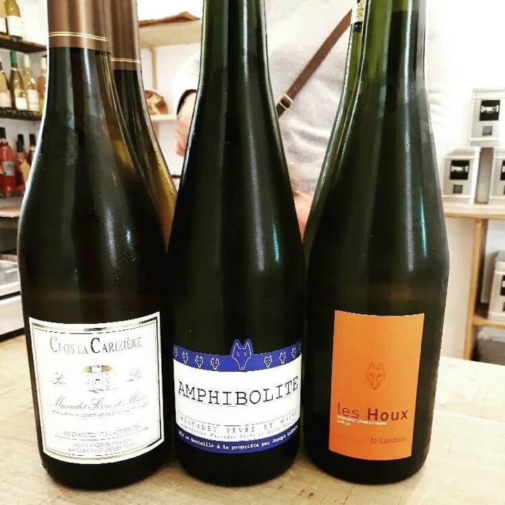 Amphibolite - Domaine Jo Landron - Jo Landron 