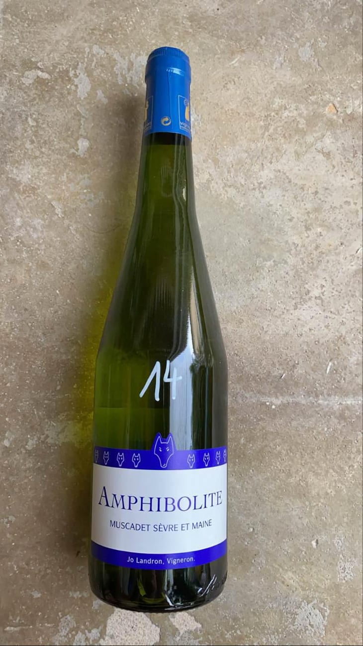 Amphibolite - Domaine Jo Landron - Jo Landron 