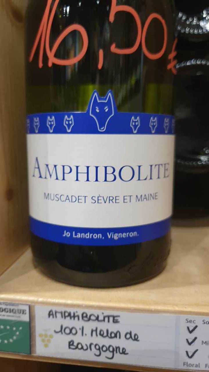 Amphibolite - Domaine Jo Landron - Jo Landron 