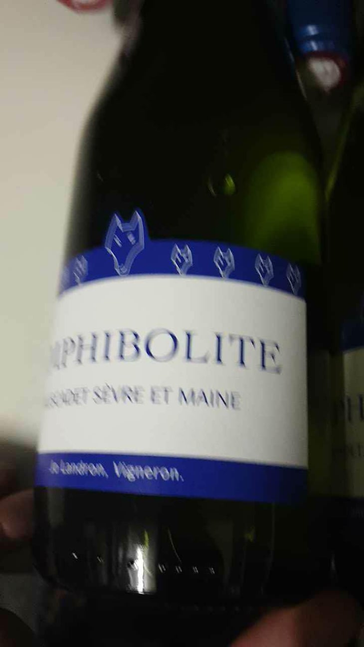 Amphibolite - Domaine Jo Landron - Jo Landron 