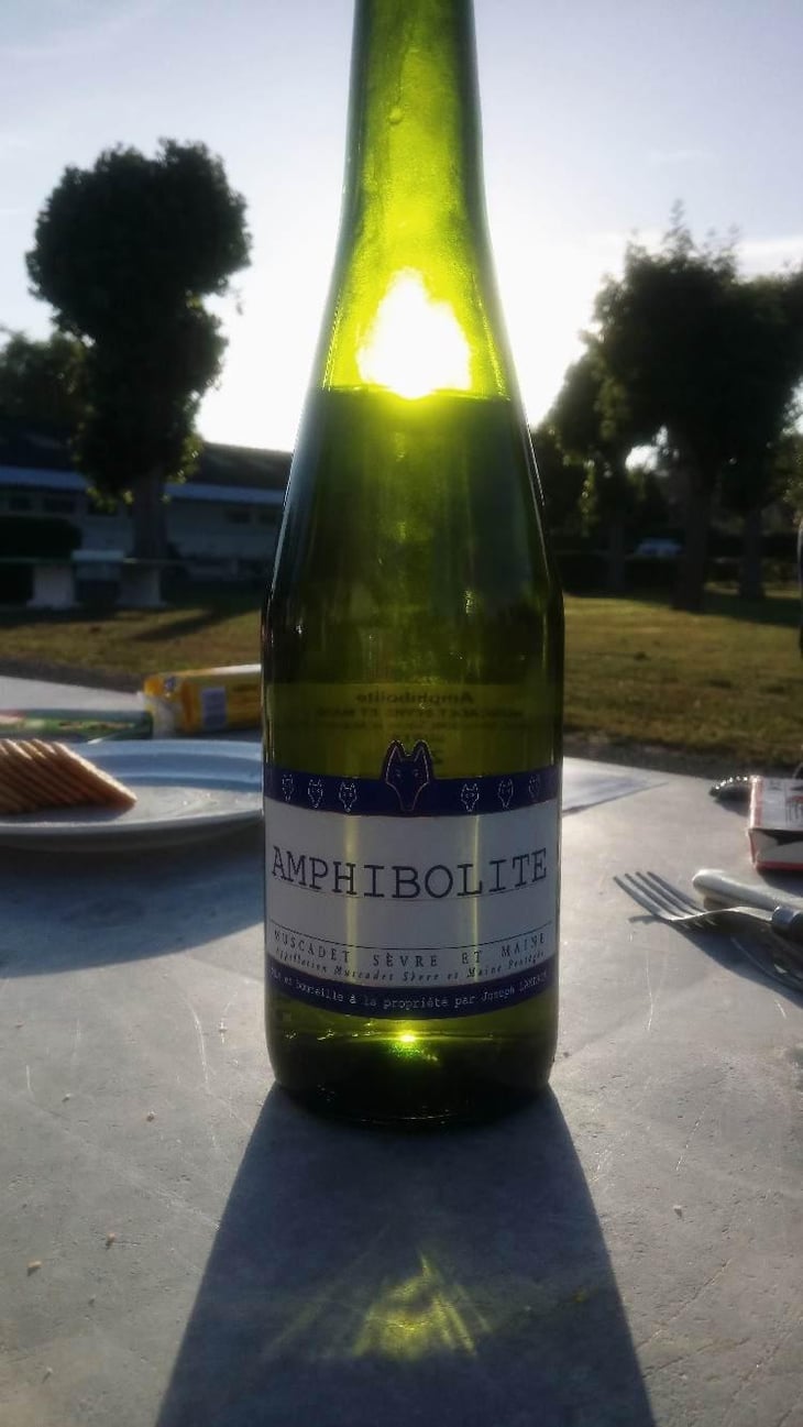 Amphibolite - Domaine Jo Landron - Jo Landron 