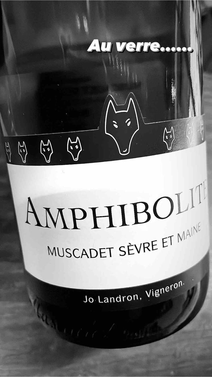Amphibolite - Domaine Jo Landron - Jo Landron 