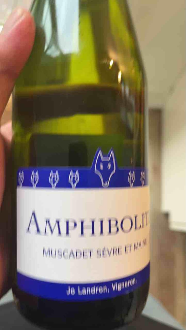 Amphibolite - Domaine Jo Landron - Jo Landron 