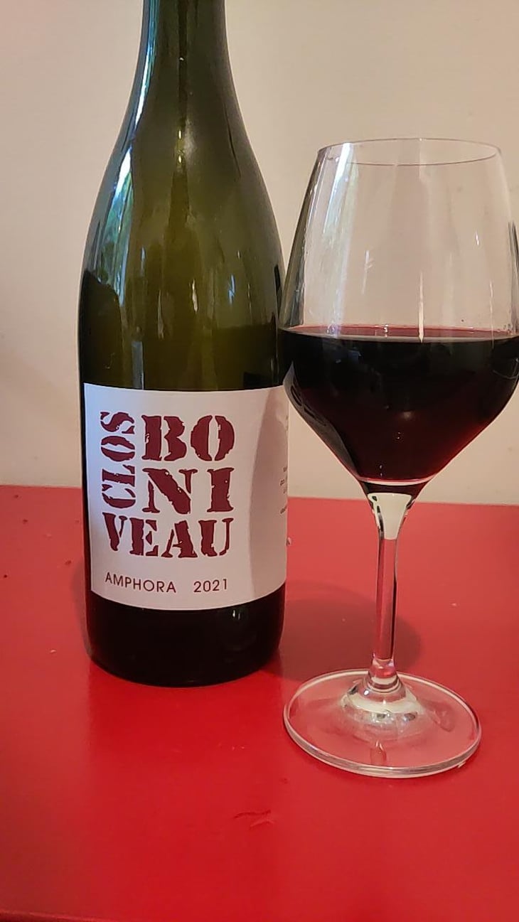 Amphora - Clos Boniveau - Jean Michel Bergès -2021