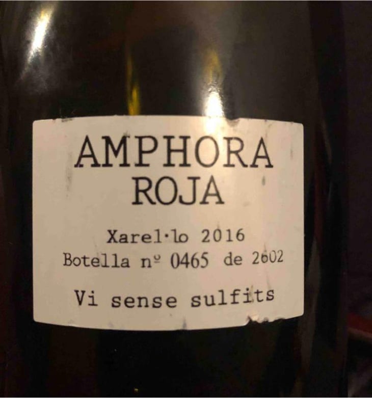 Amphora Roja - Pares Balta - Familia Cusiné 