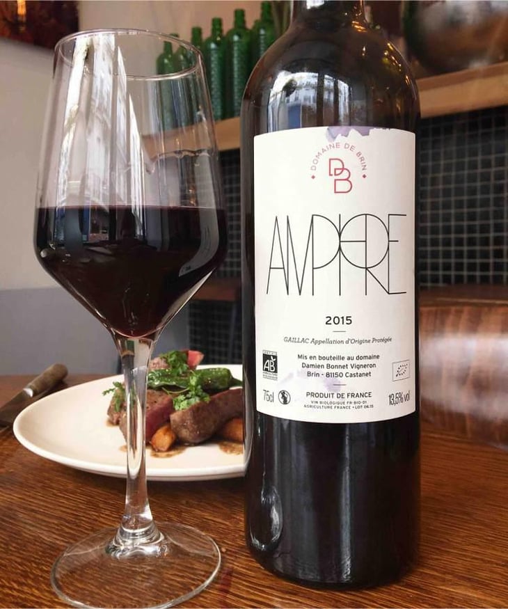 Amphore - Domaine de Brin - Damien Bonnet 