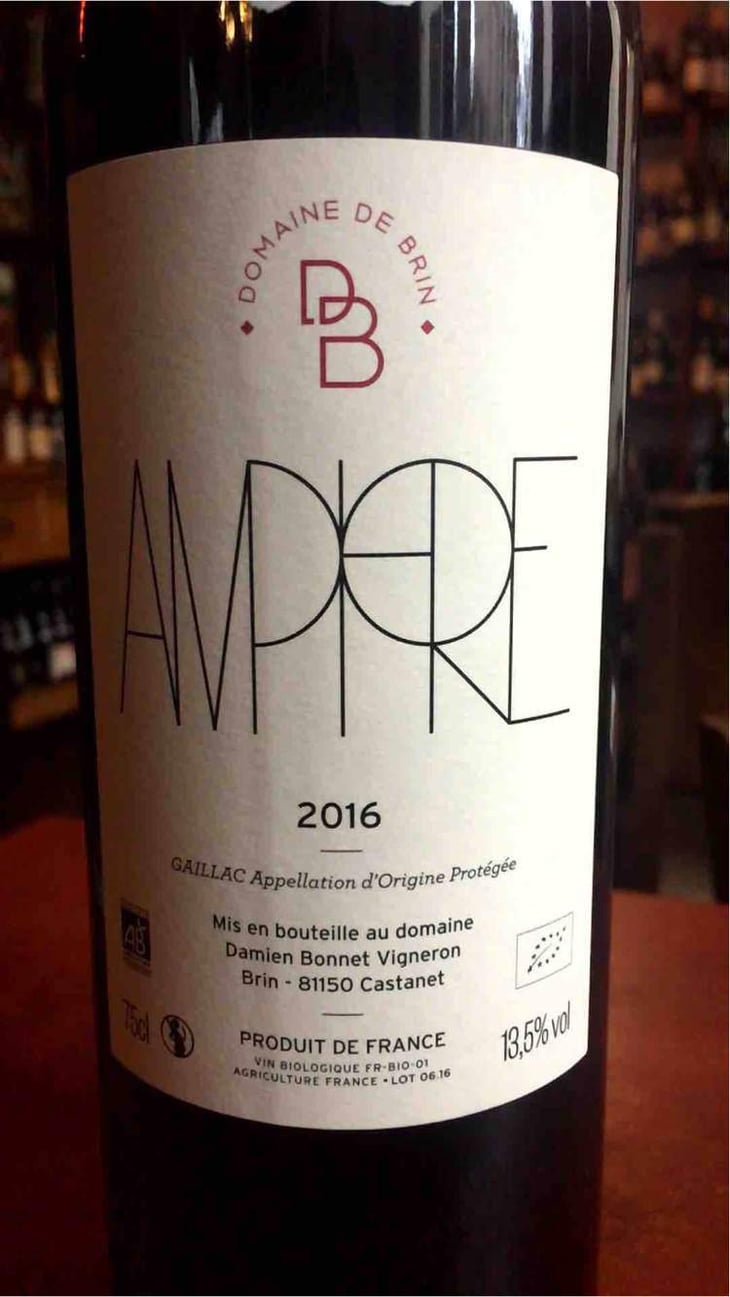 Amphore - Domaine de Brin - Damien Bonnet 