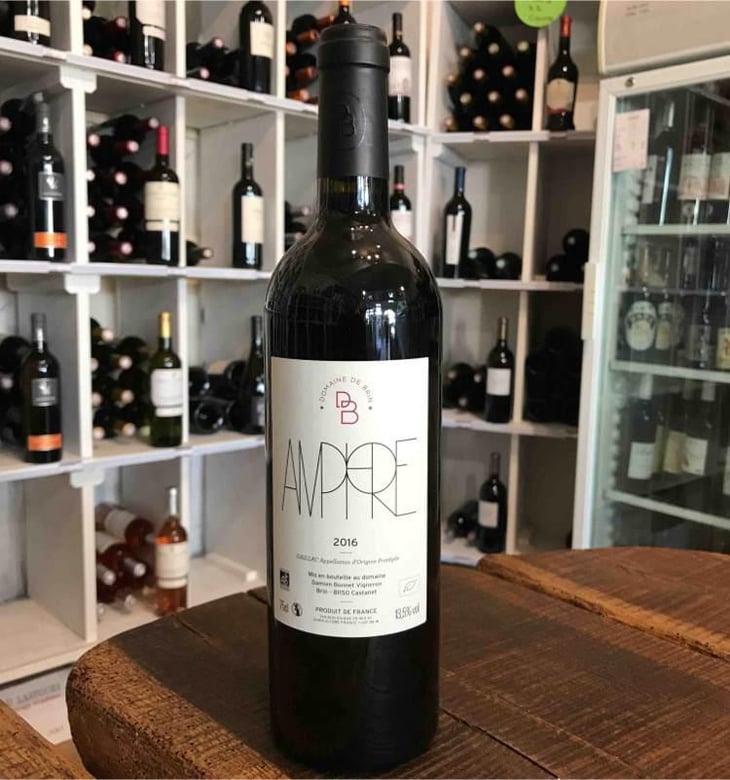 Amphore - Domaine de Brin - Damien Bonnet 