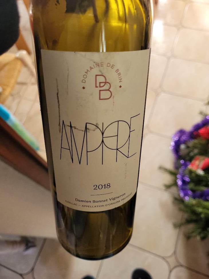 Amphore - Domaine de Brin - Damien Bonnet 