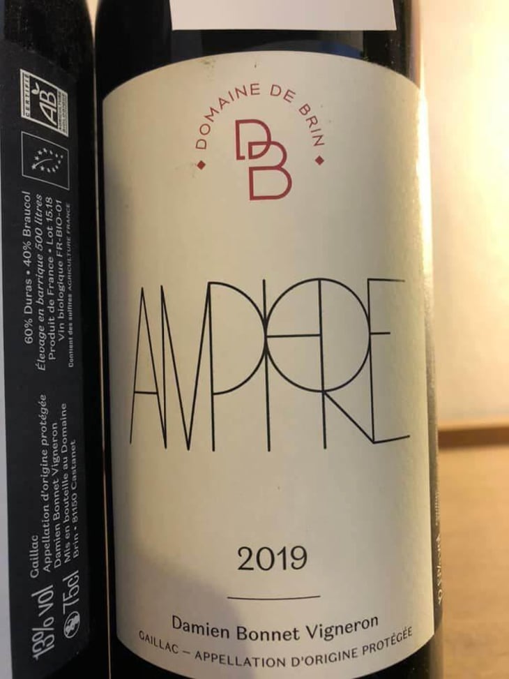 Amphore - Domaine de Brin - Damien Bonnet 