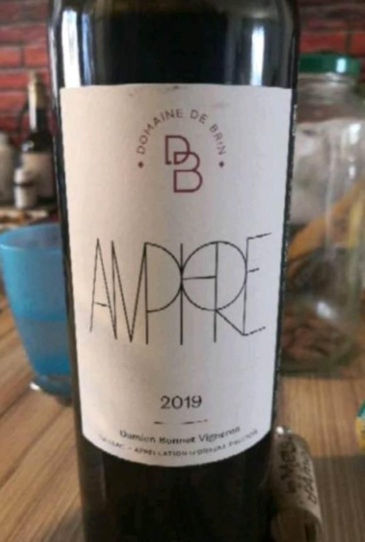 Amphore - Domaine de Brin - Damien Bonnet 