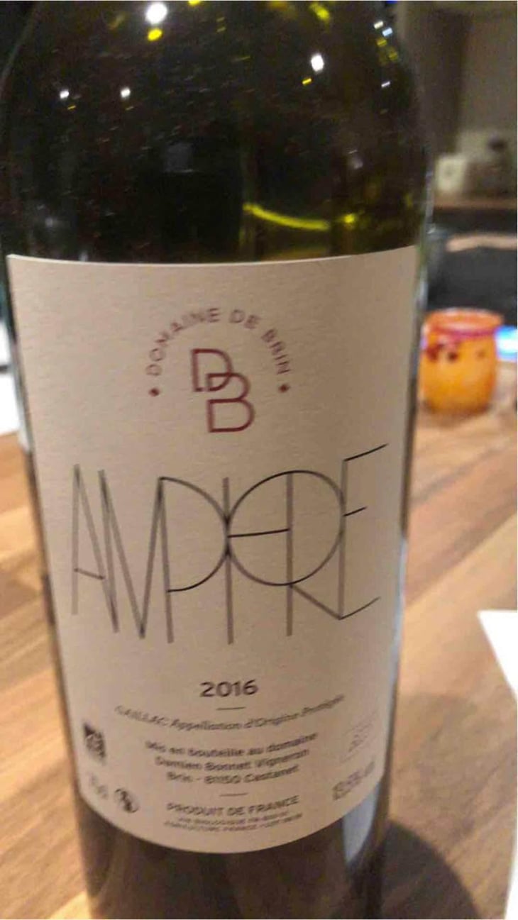 Amphore - Domaine de Brin - Damien Bonnet 