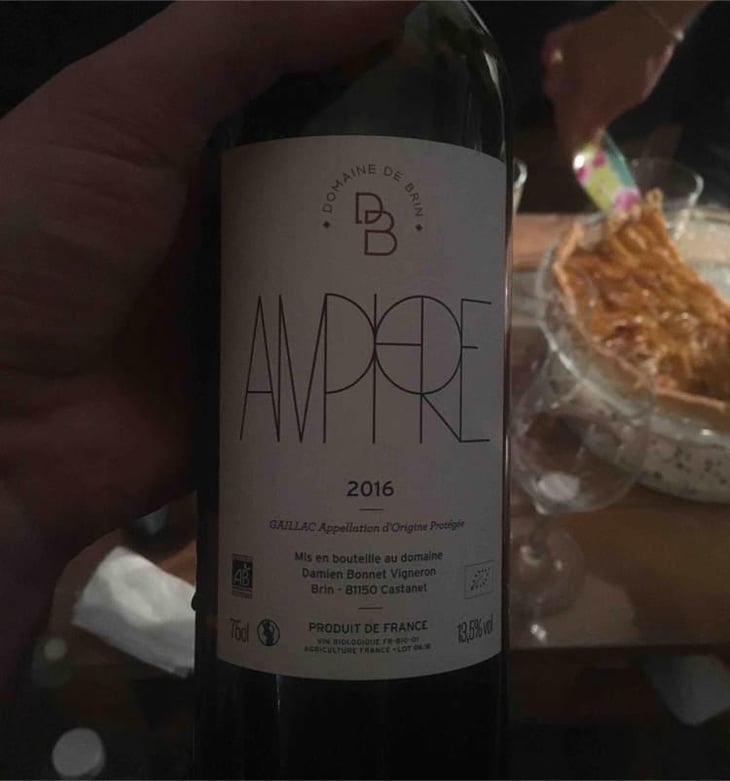 Amphore - Domaine de Brin - Damien Bonnet 