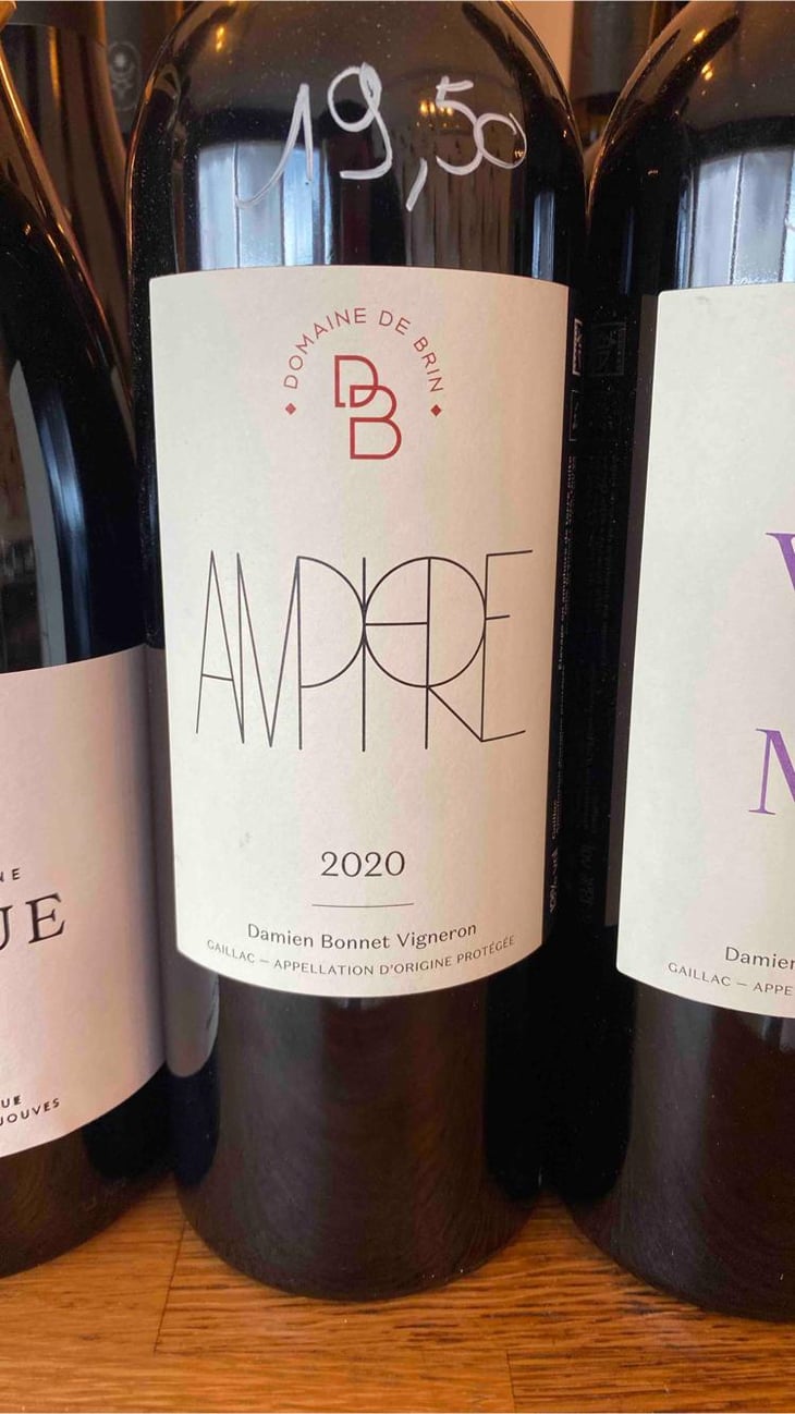 Amphore - Domaine de Brin - Damien Bonnet 