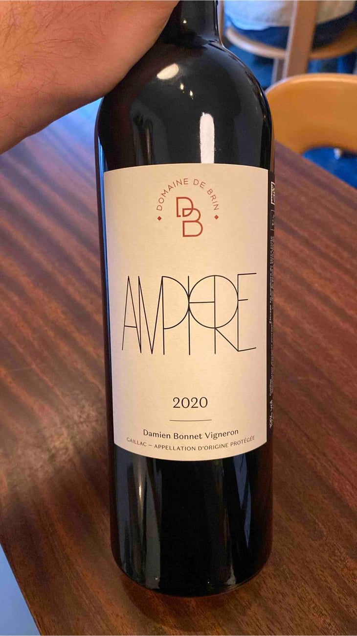 Amphore - Domaine de Brin - Damien Bonnet 