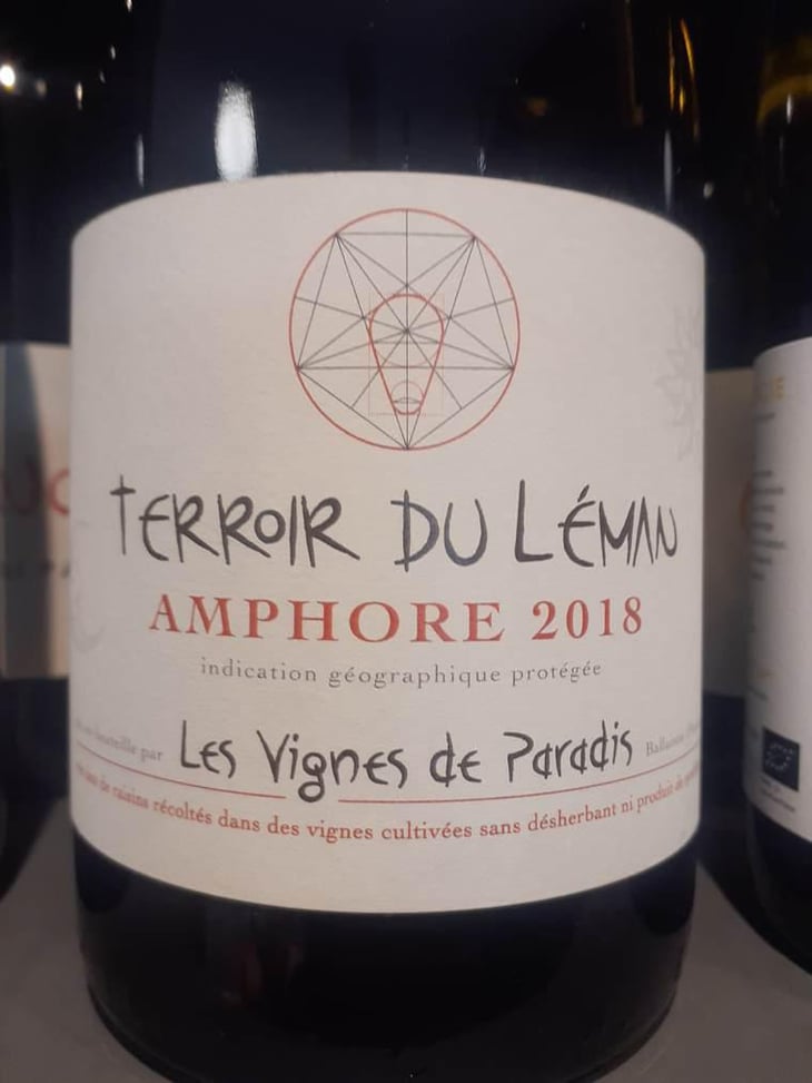 Amphore - Les Vignes de Paradis - Dominique Lucas 