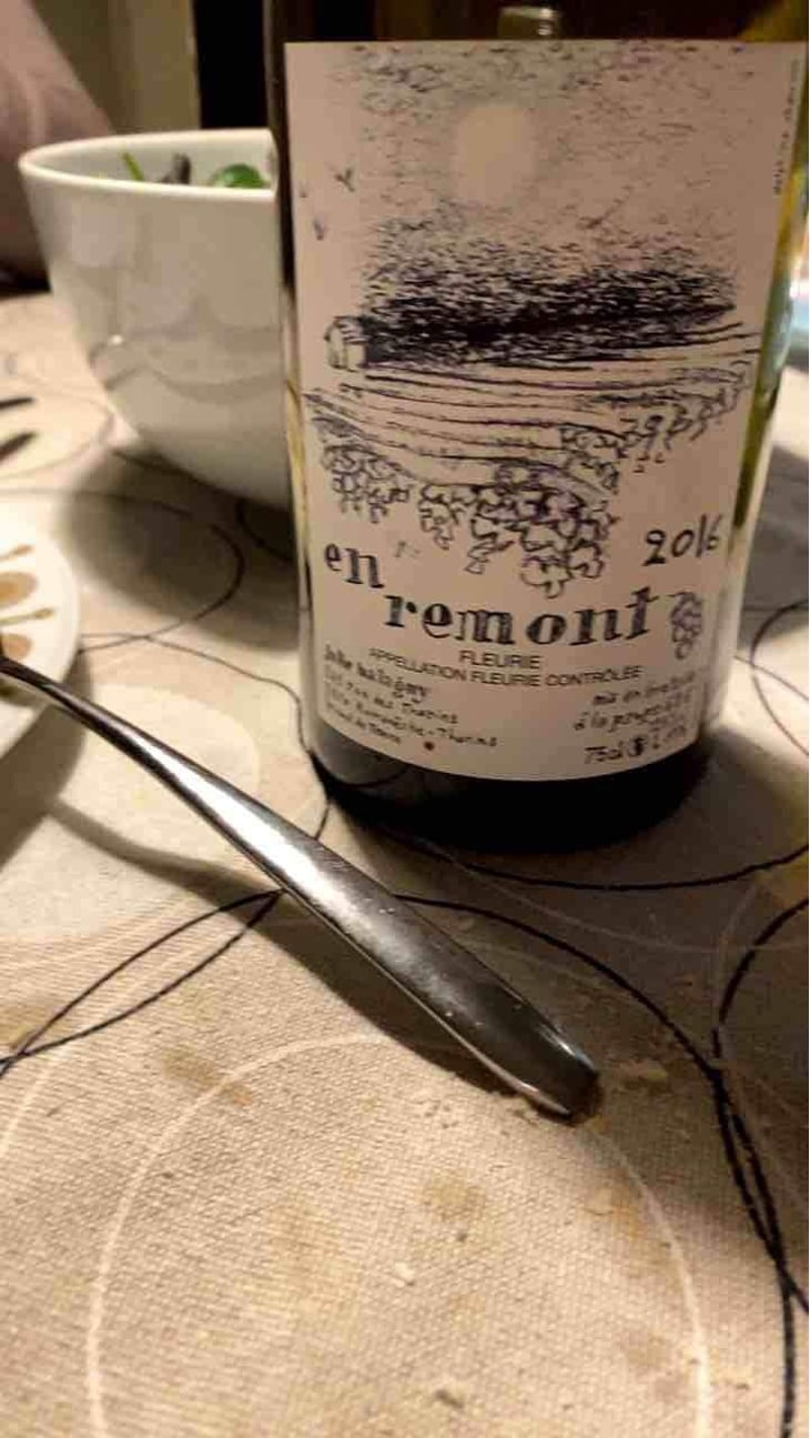 En Remont - Julie Balagny - Julie Balagny 