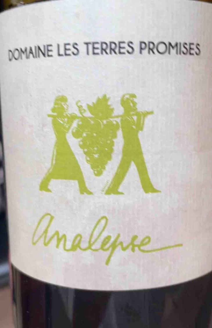 Analepse - Les Terres Promises - Jean-Christophe Comor 