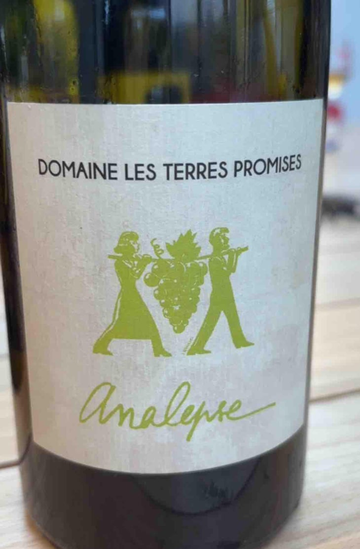 Analepse - Les Terres Promises - Jean-Christophe Comor 