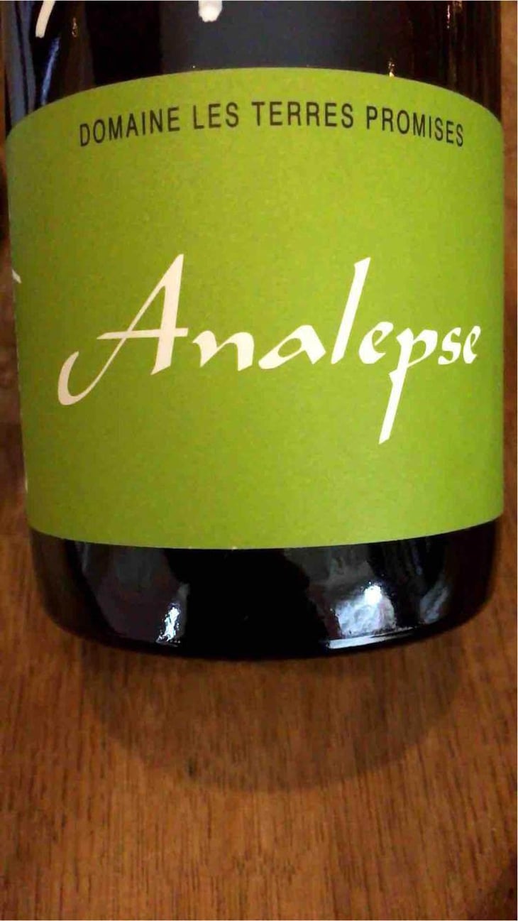 Analepse - Les Terres Promises - Jean-Christophe Comor 