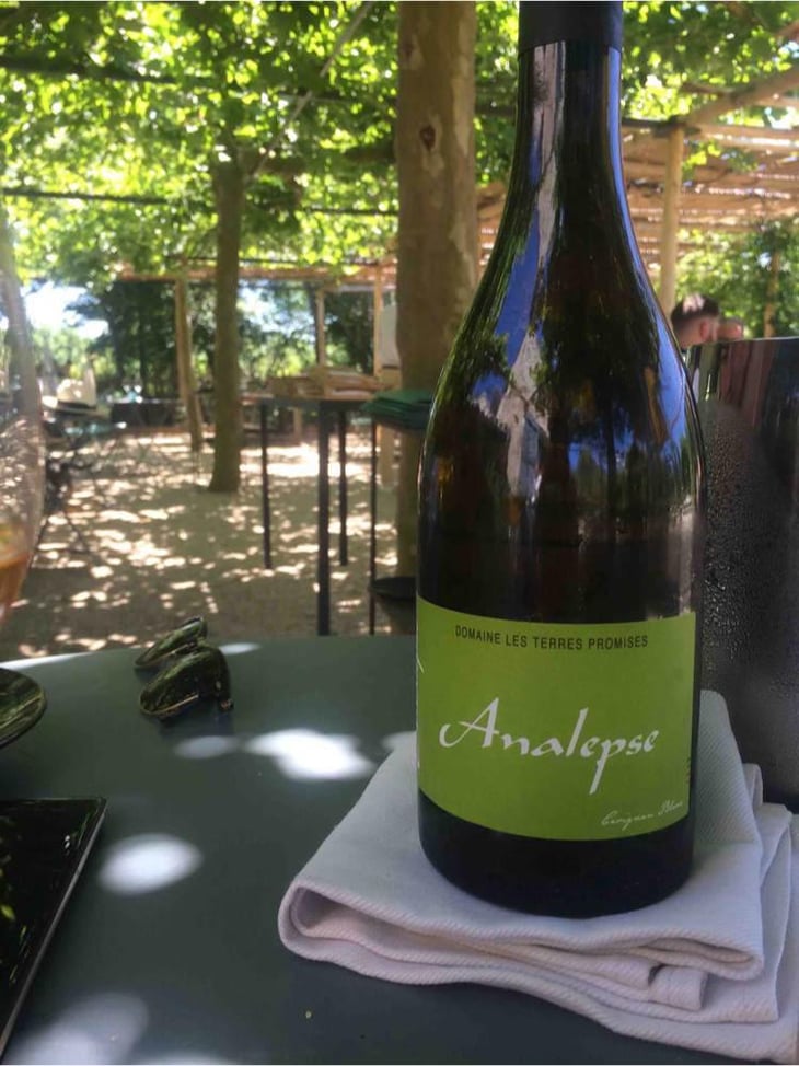 Analepse - Les Terres Promises - Jean-Christophe Comor 