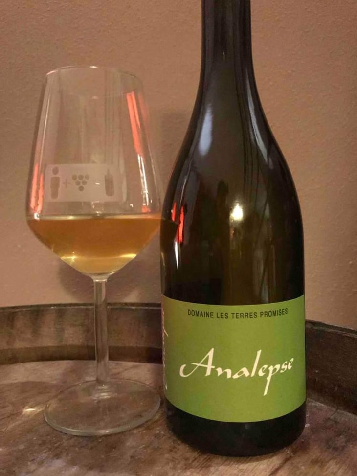 Analepse - Les Terres Promises - Jean-Christophe Comor 
