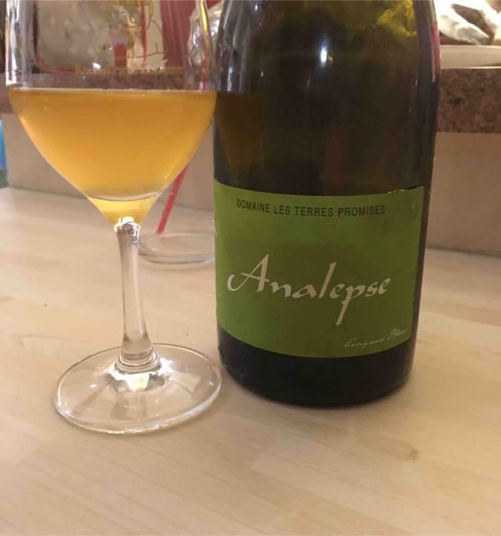 Analepse - Les Terres Promises - Jean-Christophe Comor 