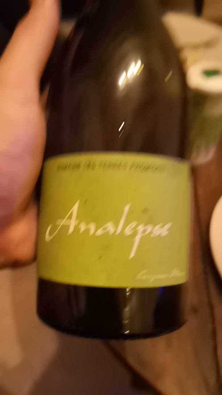 Analepse - Les Terres Promises - Jean-Christophe Comor 