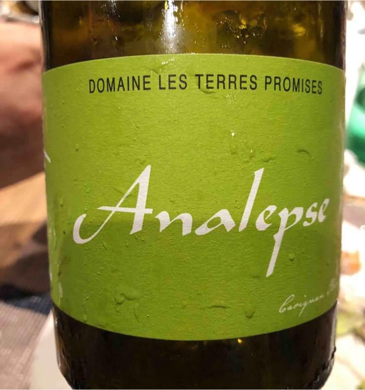 Analepse - Les Terres Promises - Jean-Christophe Comor 