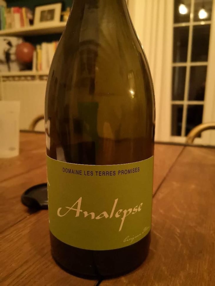 Analepse - Les Terres Promises - Jean-Christophe Comor 