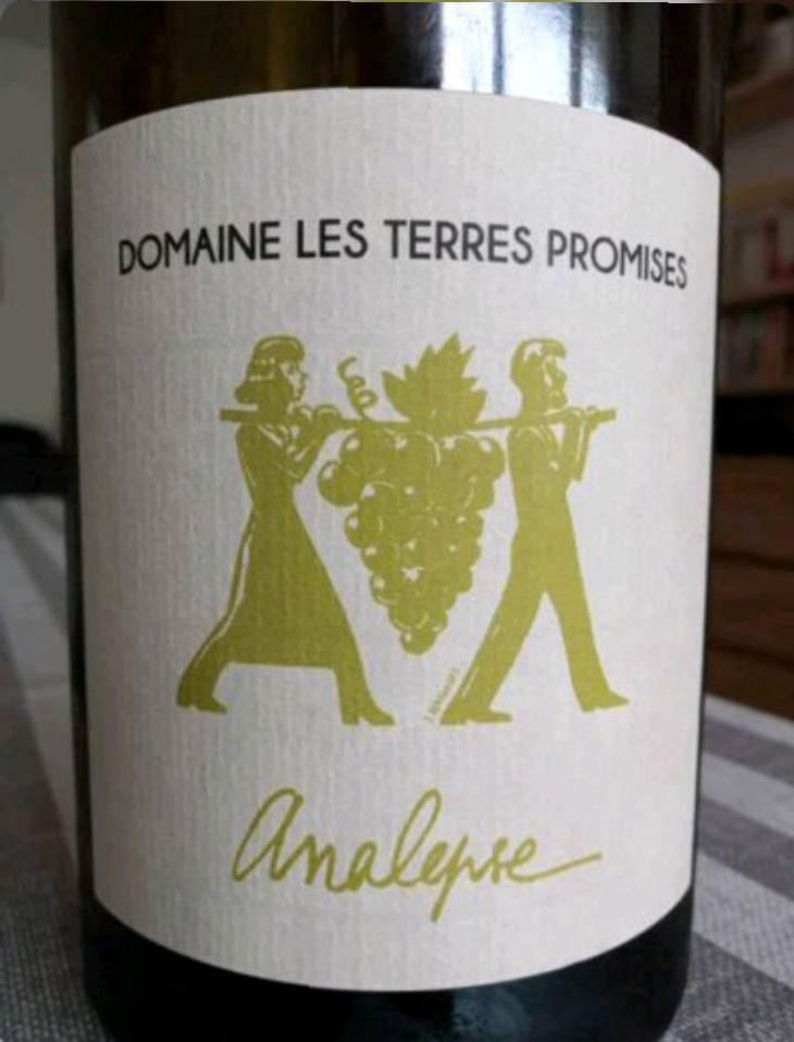 Analepse - Les Terres Promises - Jean-Christophe Comor 
