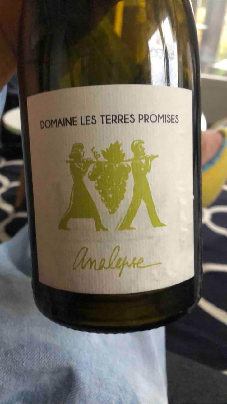 Analepse - Les Terres Promises - Jean-Christophe Comor 