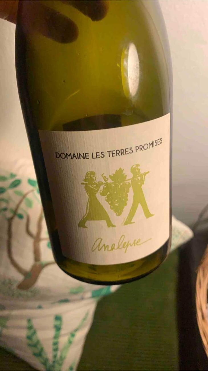 Analepse - Les Terres Promises - Jean-Christophe Comor 