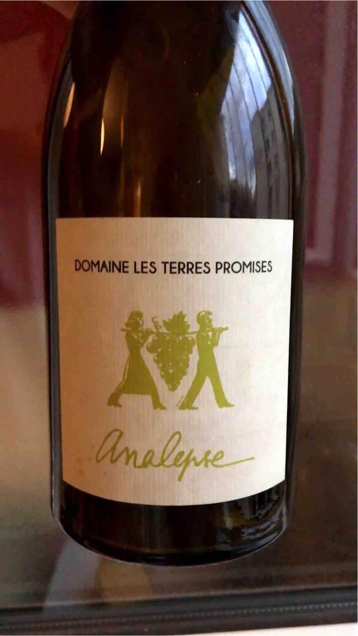 Analepse - Les Terres Promises - Jean-Christophe Comor 
