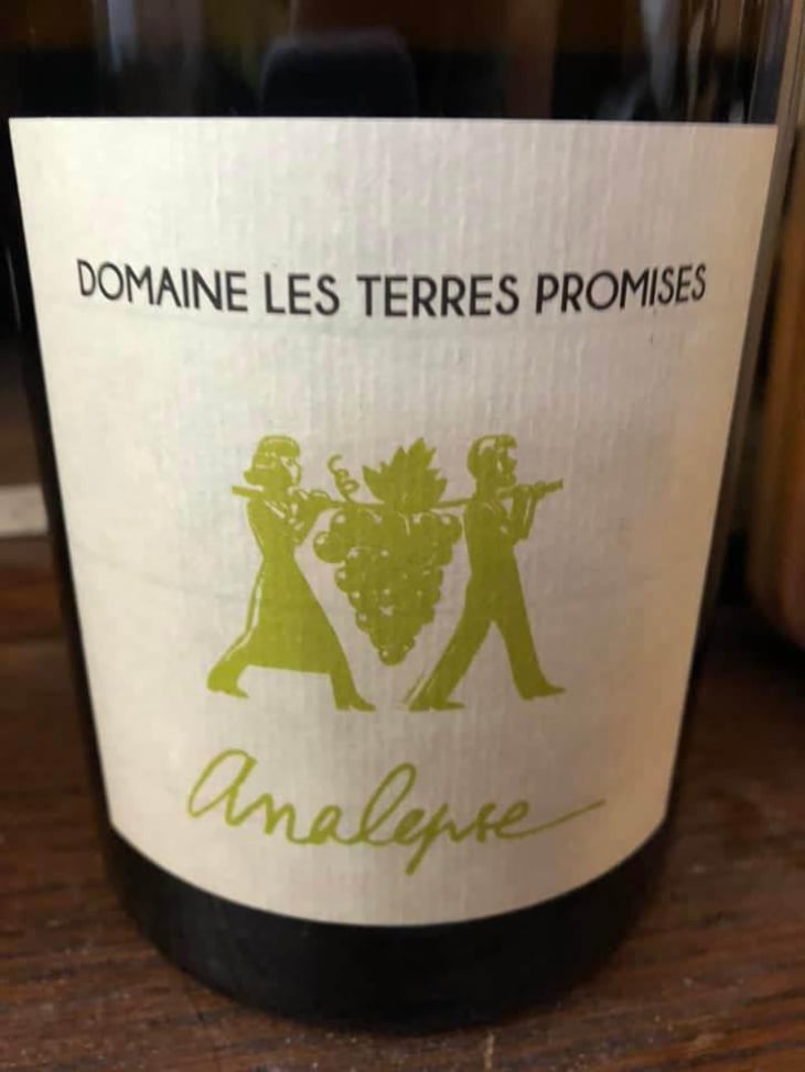 Analepse - Les Terres Promises - Jean-Christophe Comor 