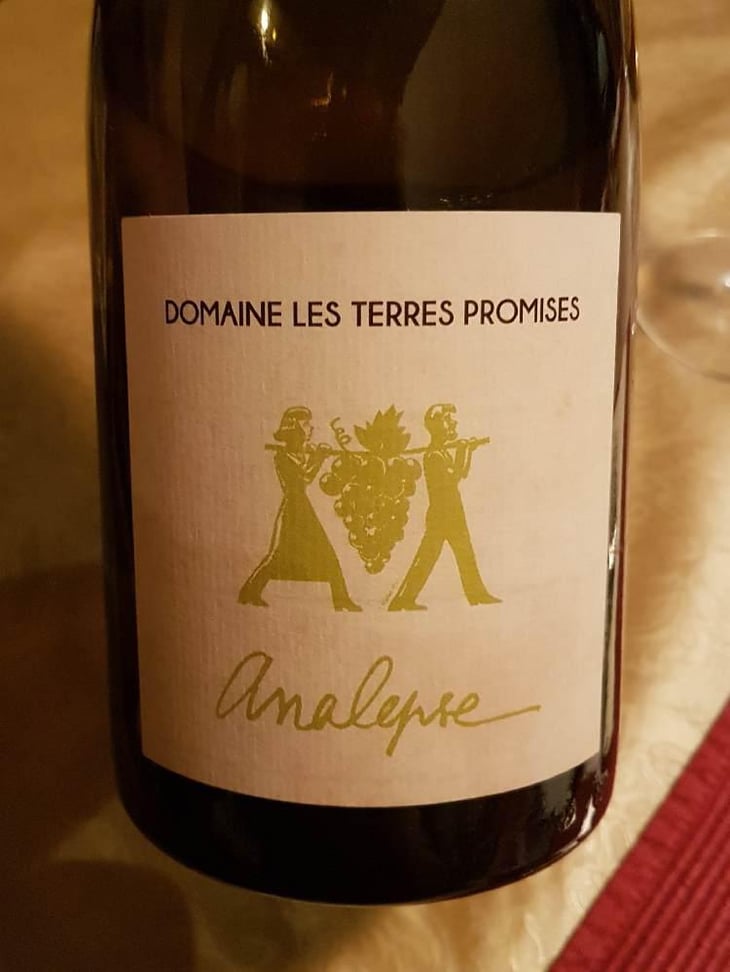 Analepse - Les Terres Promises - Jean-Christophe Comor 