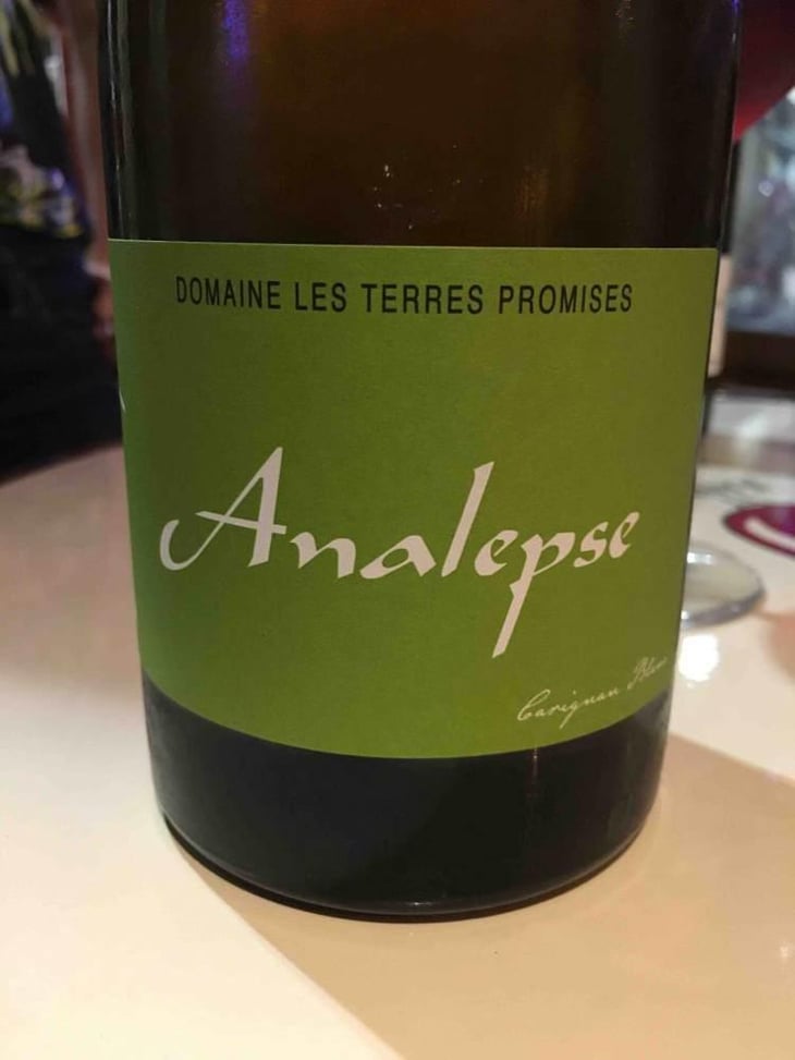 Analepse - Les Terres Promises - Jean-Christophe Comor 