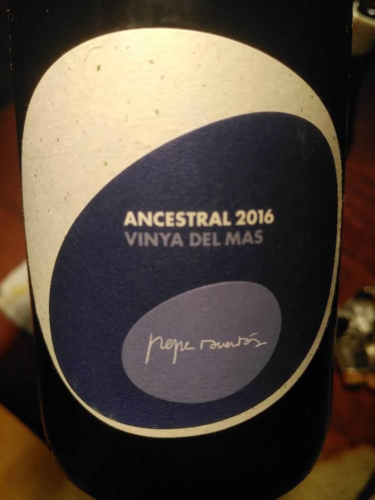 Ancestral Vinya Del Más - Can Sumoi - Pepe Raventós -2017
