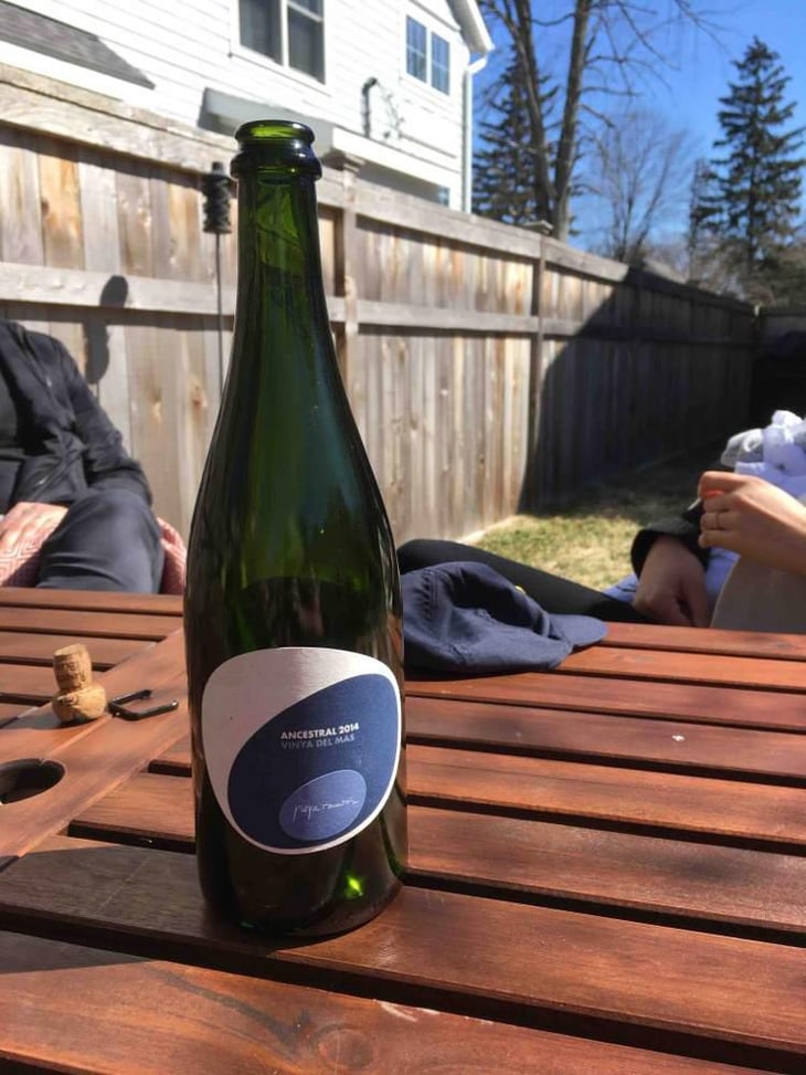Ancestral Vinya del Mas - Vins Pepe Raventós - Pepe Raventós 