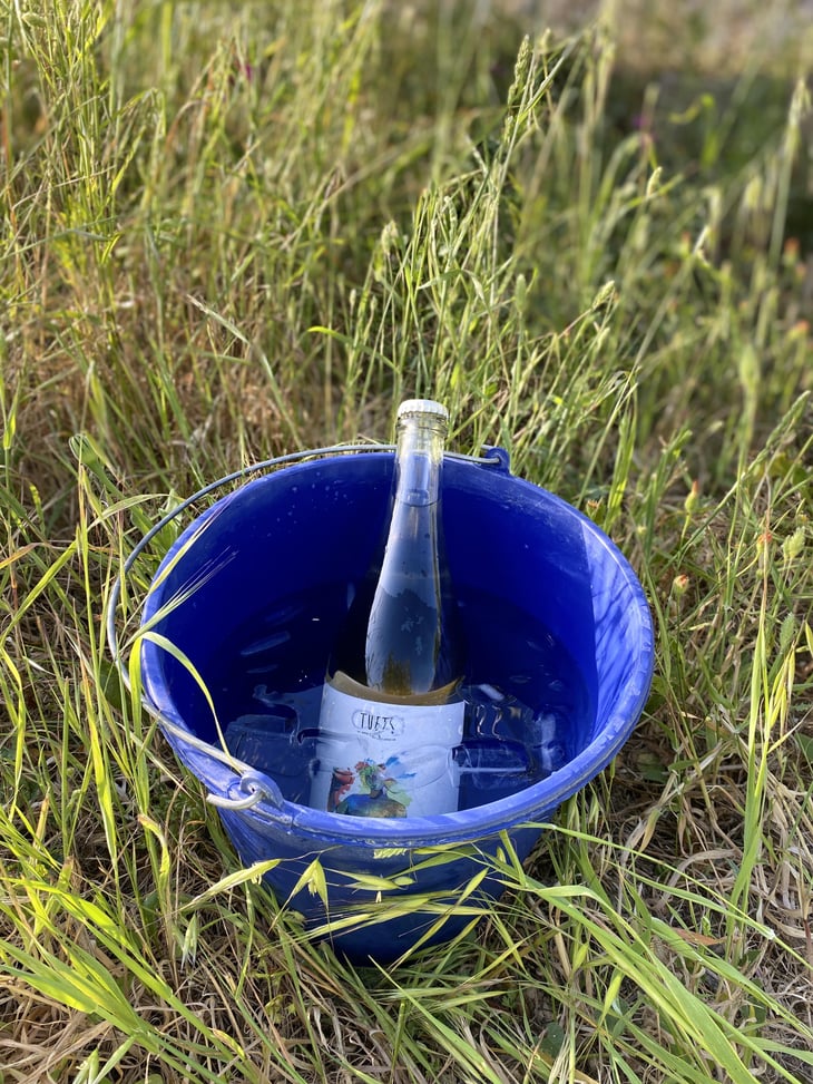 Ancestral - Celler Tuets - Albert Domingo 