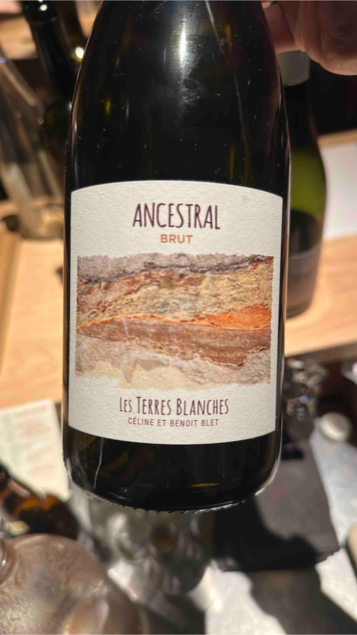 Ancestral Blanc - Les Terres Blanches - Celine & Benoit Blet -2022