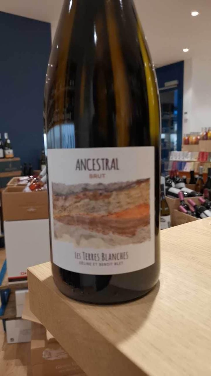 Ancestral Blanc - Les Terres Blanches - Celine & Benoit Blet -2022