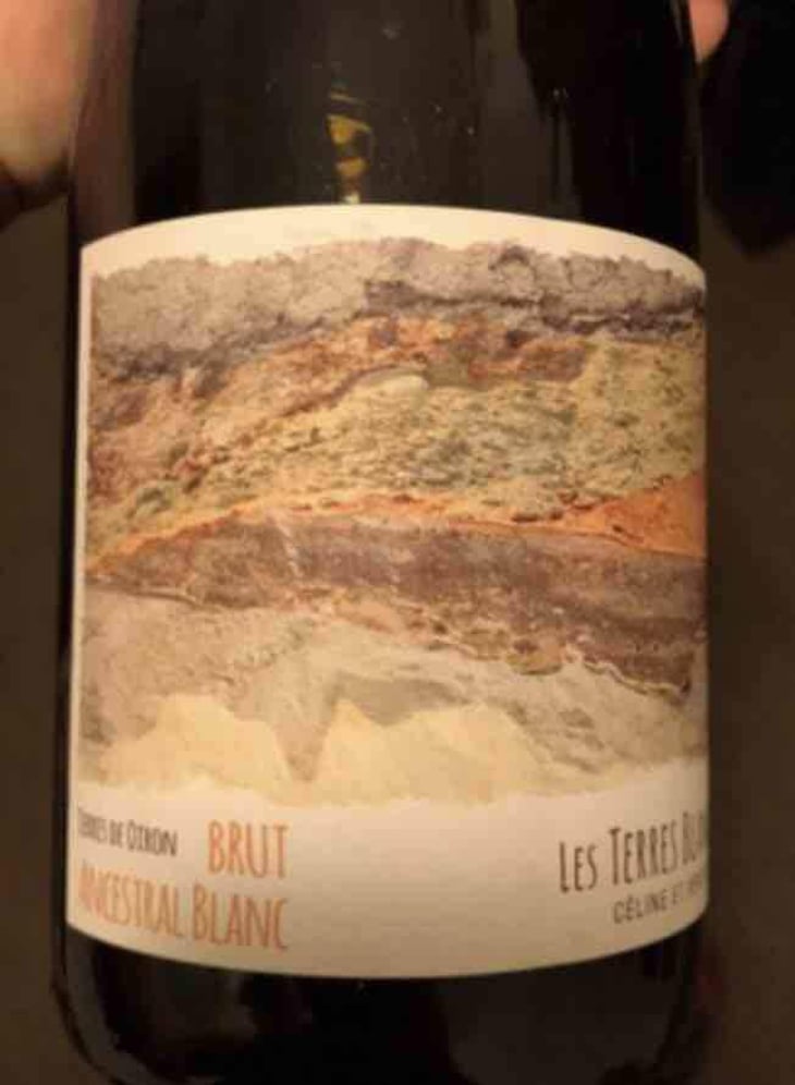 Ancestral Blanc - Les Terres Blanches - Celine & Benoit Blet -2022