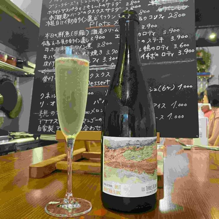 Ancestral Blanc - Les Terres Blanches - Celine & Benoit Blet -2022