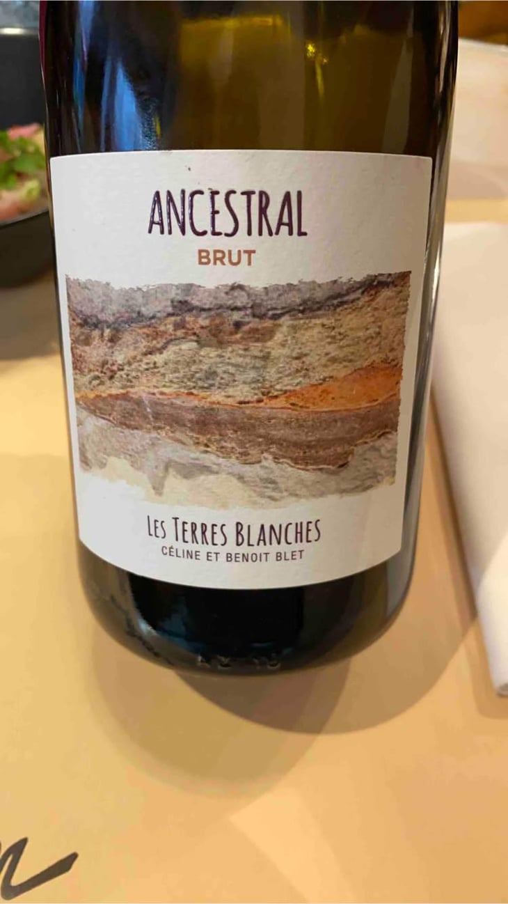 Ancestral Blanc - Les Terres Blanches - Celine & Benoit Blet -2022