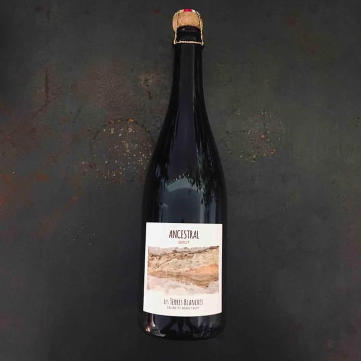 Ancestral Blanc - Les Terres Blanches - Celine & Benoit Blet -2022