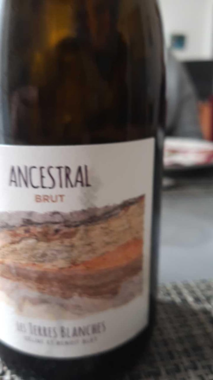Ancestral Blanc - Les Terres Blanches - Celine & Benoit Blet -2022