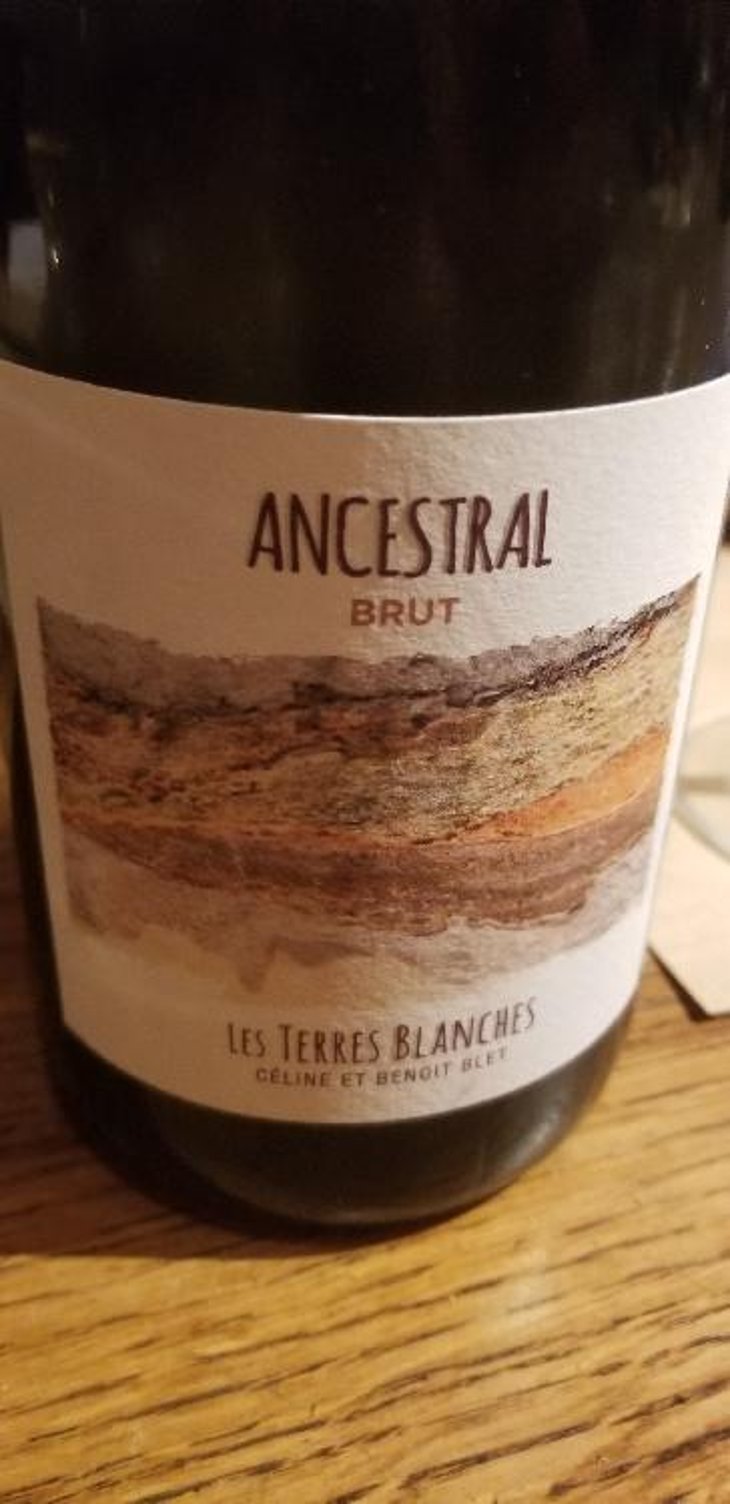 Ancestral Blanc - Les Terres Blanches - Celine & Benoit Blet -2022