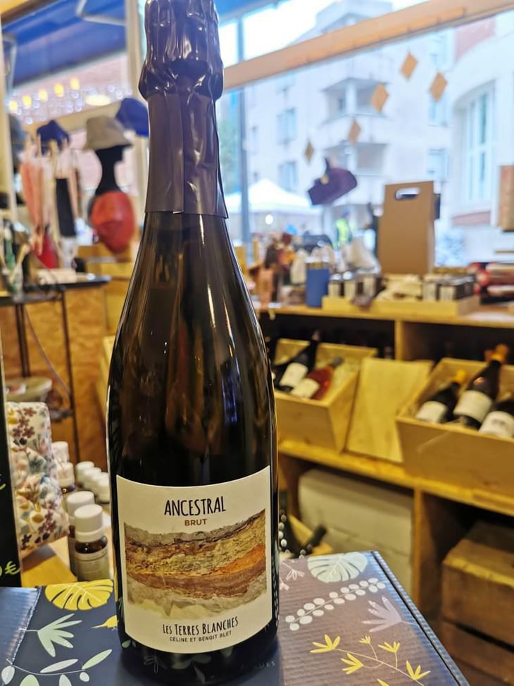 Ancestral Blanc - Les Terres Blanches - Celine & Benoit Blet -2022